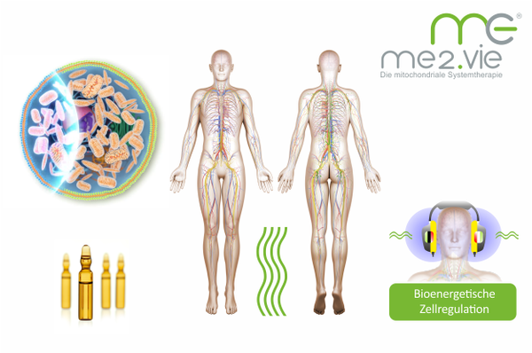 Mito Energy/me2.vie Systemtherapie